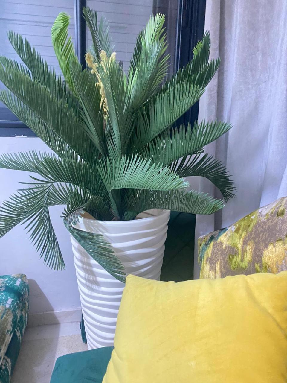 Cosy & Magnifique Appartement Marrakech Marrakesh Esterno foto